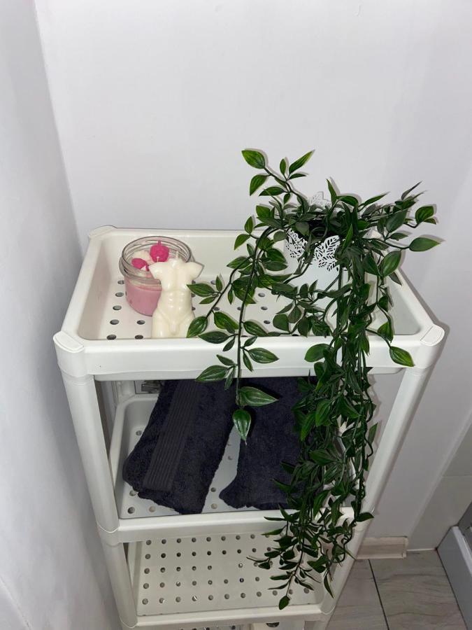 בידגוז'יז' Apartament Grunwaldzka מראה חיצוני תמונה